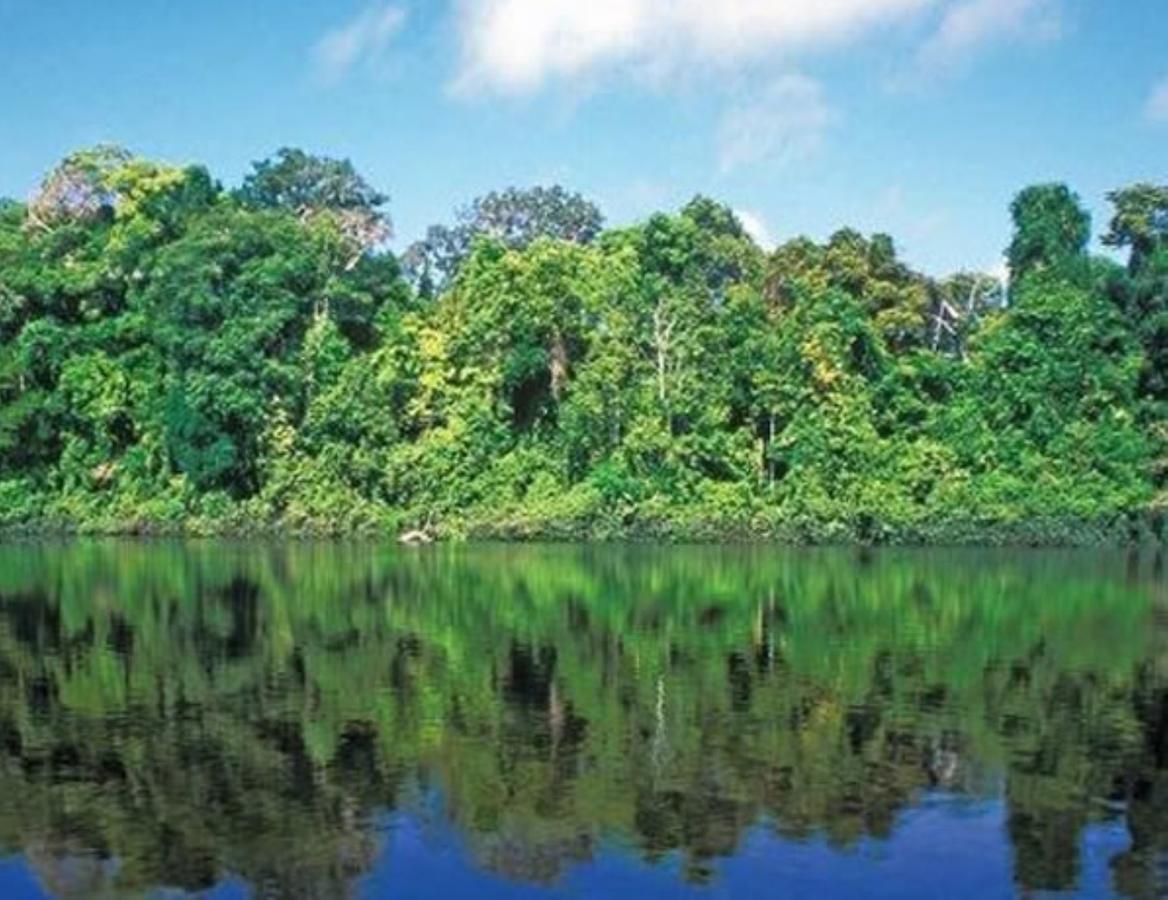 Hotel Vista Al Tortuguero Cariari  Экстерьер фото